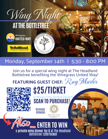 Wing Night Flyer